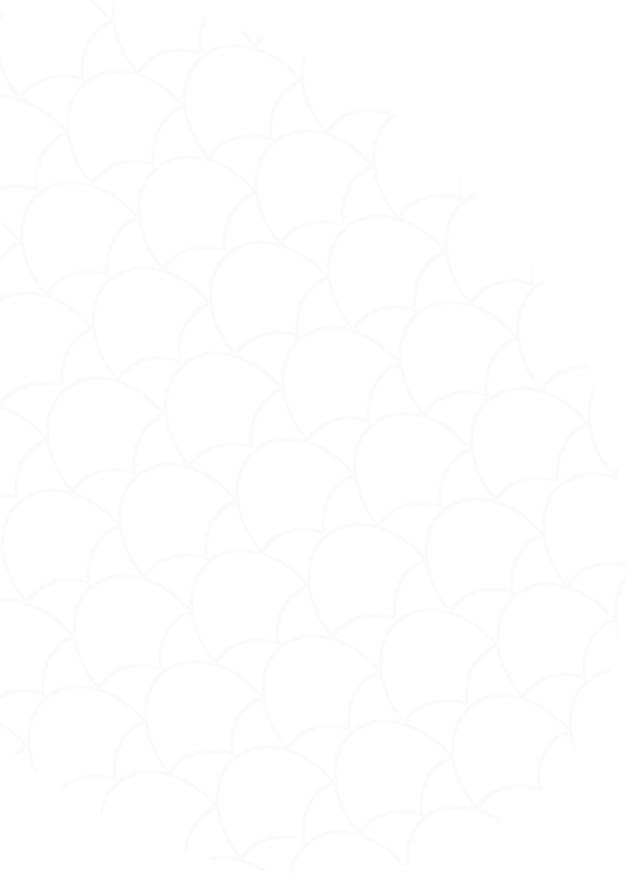 Tân Tứ Quý | Một Đối Tác Đáng Tin Cậy